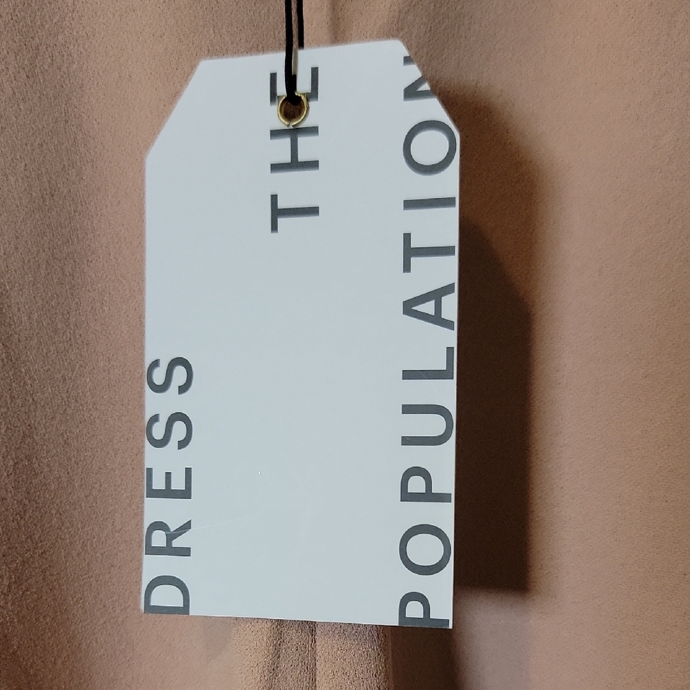 Dress the Population Long Sleeve Blush Dress - Picture 2 of 4